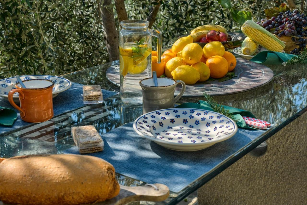 Villa Maria - In The Hills Above Florence Castiglione  エクステリア 写真