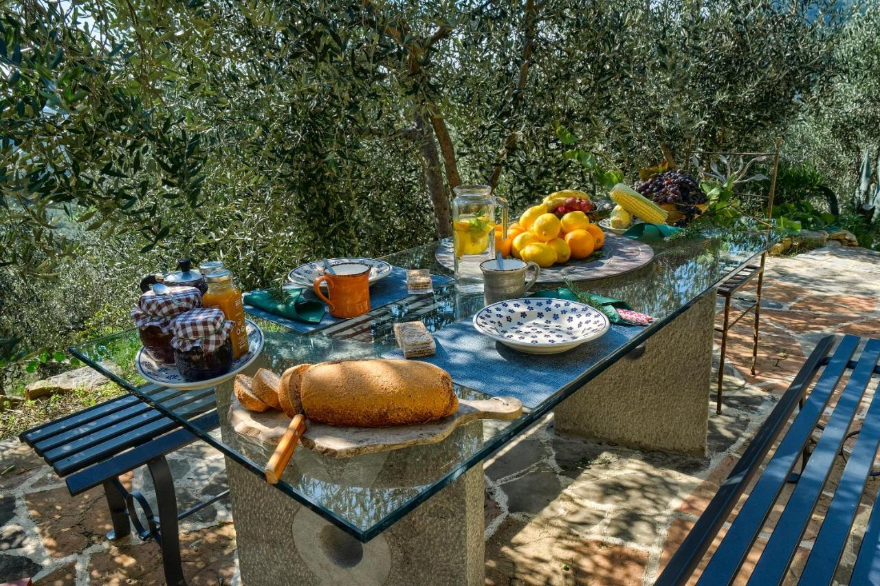 Villa Maria - In The Hills Above Florence Castiglione  エクステリア 写真